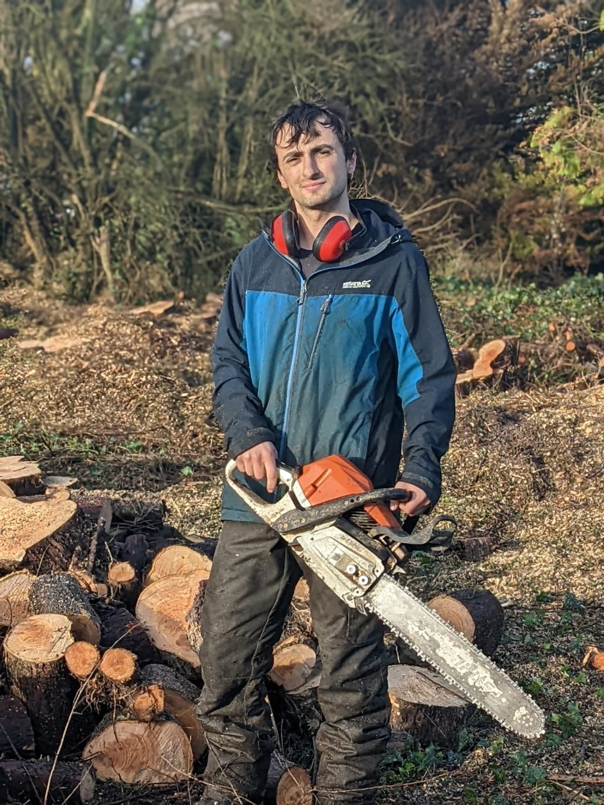 cedars tree management, Bristol South Space Program